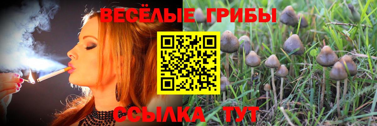 Валуйки  Псилоцибиновые грибы Cubensis  продажа наркотиков  Вход с VPN 