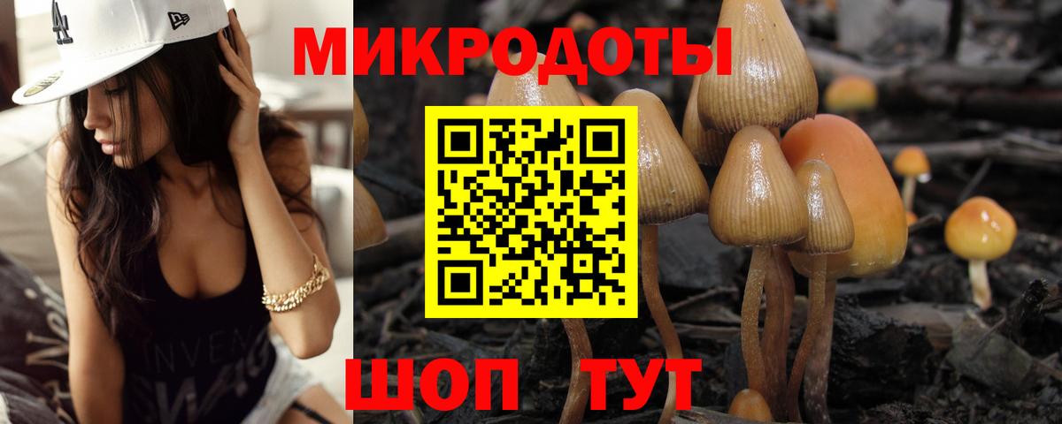 Галлюциногенные грибы прущие грибы Валуйки